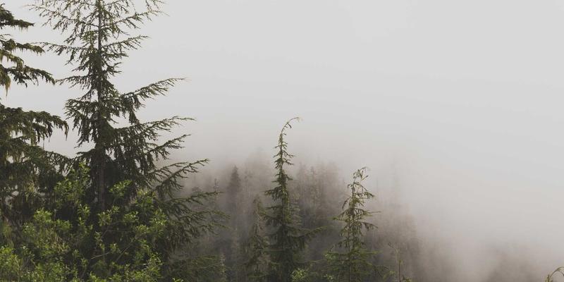 anomaly-detection-advanced