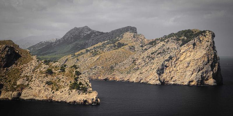 reinforcement-learning-cae-vendor