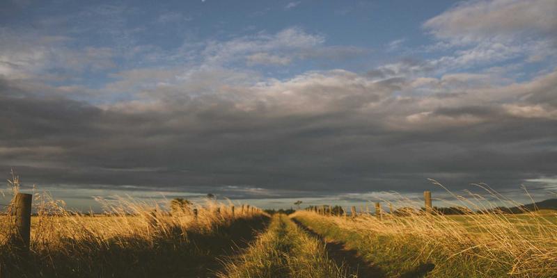 data-driven-multiphysics-vendor