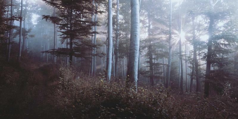 electroactive-polymers-theory