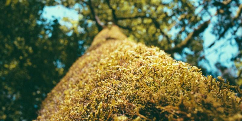 emat-simulation-theory