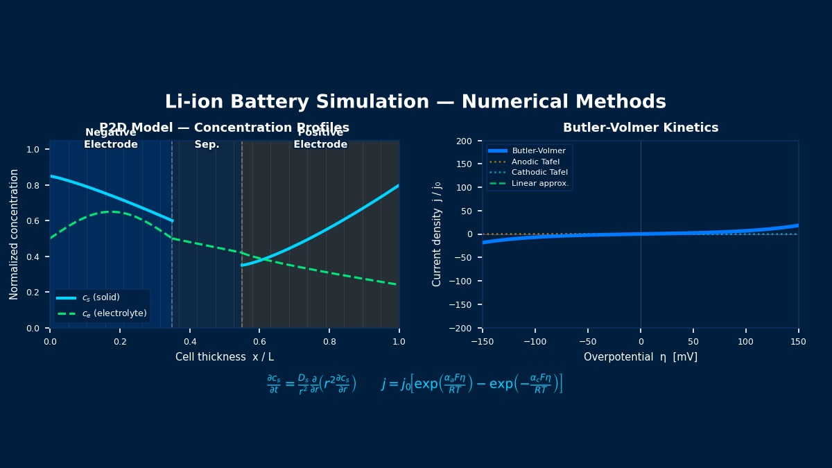 Li-ion battery P2D model showing concentration profiles across negative electrode, separator, and positive electrode, with Butler-Volmer kinetics curve