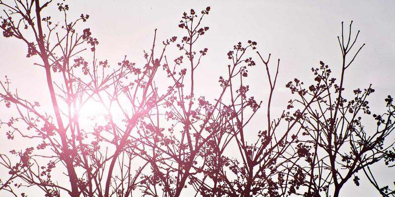 co-simulation-mpcci-theory