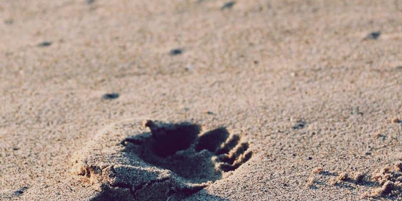 aeroelasticity-flutter-practice