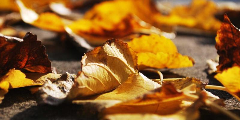 dielectric-heating-troubleshoot