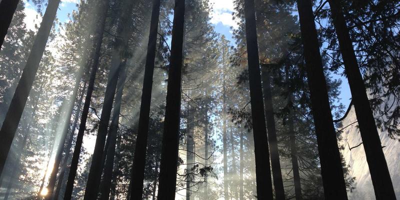 efficiency-map-advanced