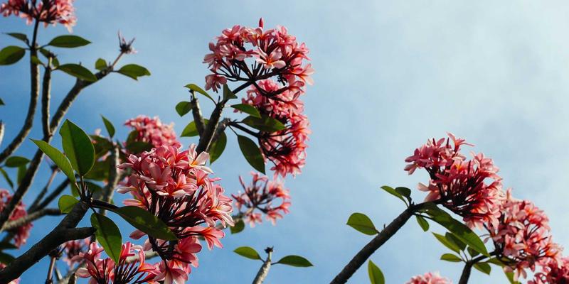 demagnetization-analysis-practice