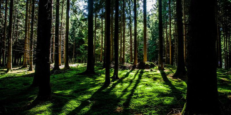 conducted-emission-method