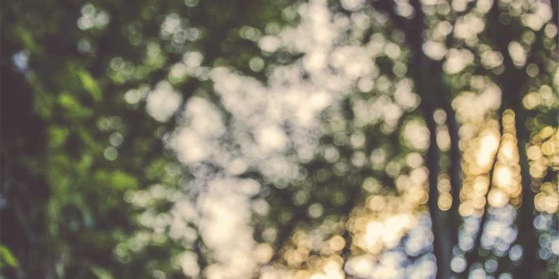 esd-simulation-vendor