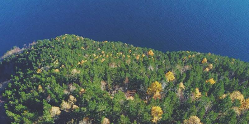 leakage-inductance-vendor