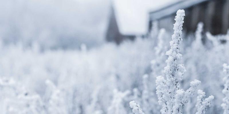 automotive-emc-theory