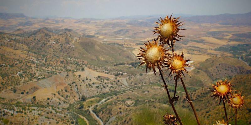 natural-convection-cfd-method