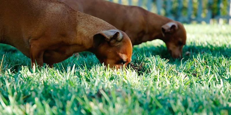 temperature-out-of-range