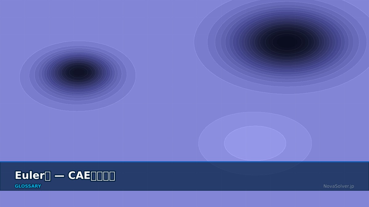 CAE visualization for euler formulation - technical simulation diagram
