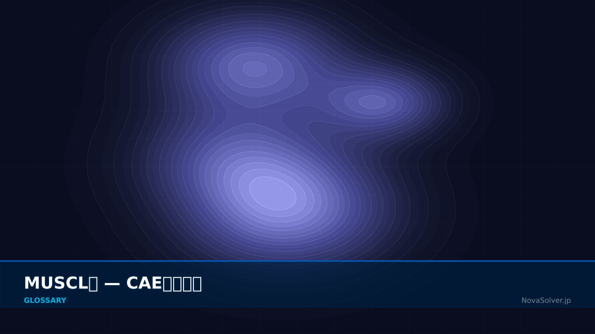 CAE visualization for muscl scheme - technical simulation diagram
