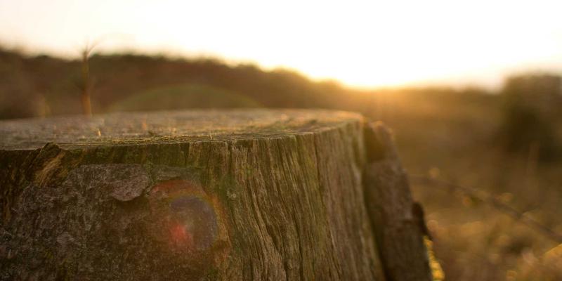 cae-aerospace-vendor