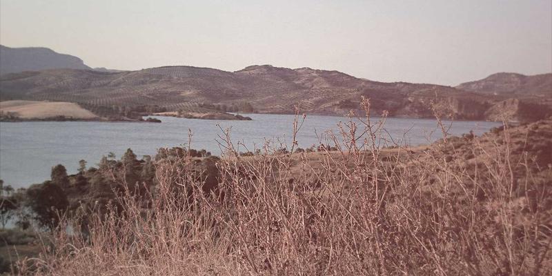 springback-troubleshoot