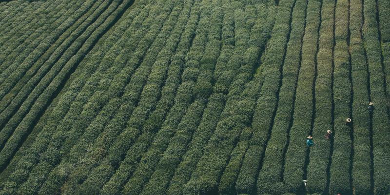 am-residual-stress-theory