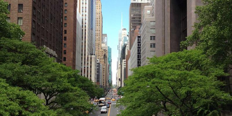 calculix-linear-theory