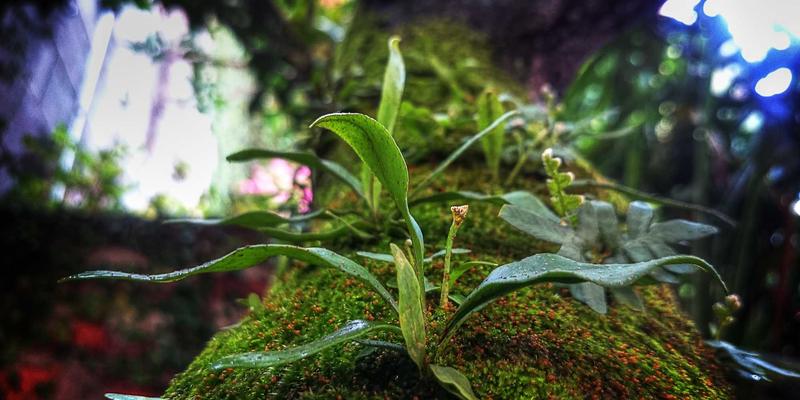 freecad-fem-practice