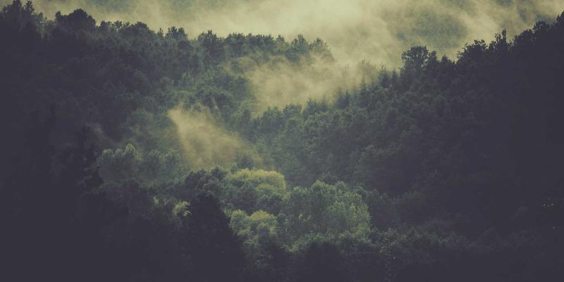 openfoam-multiphase-theory