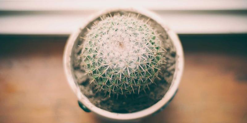 calculix-intro-practice