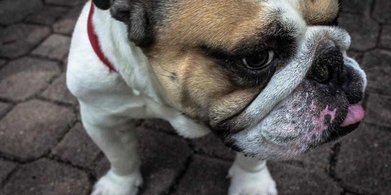 frequency-sweep-theory