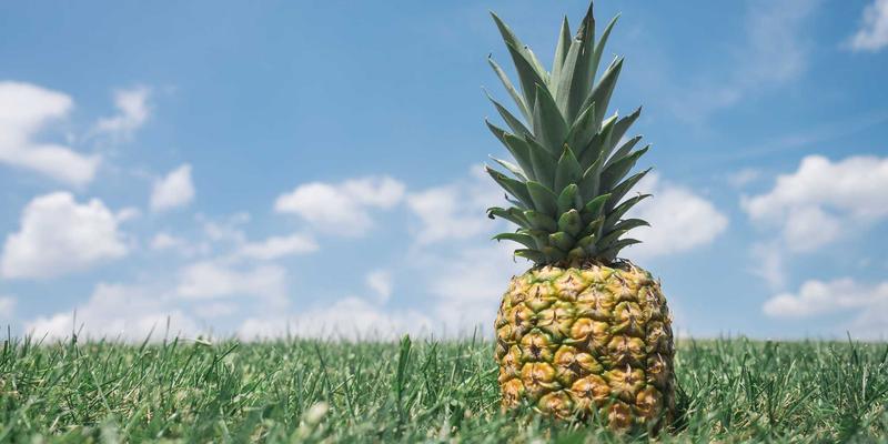 multi-dof-random-vendor