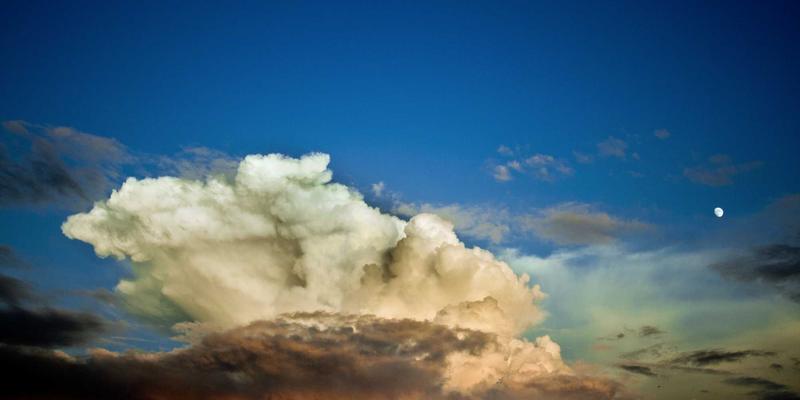 sensitivity-analysis-vendor