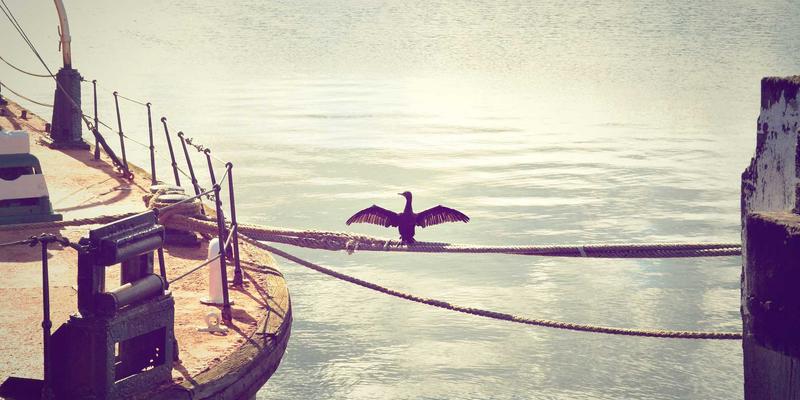 self-contact-advanced