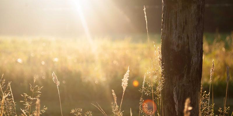 linear-buckling-theory