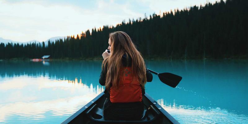 follower-force-theory