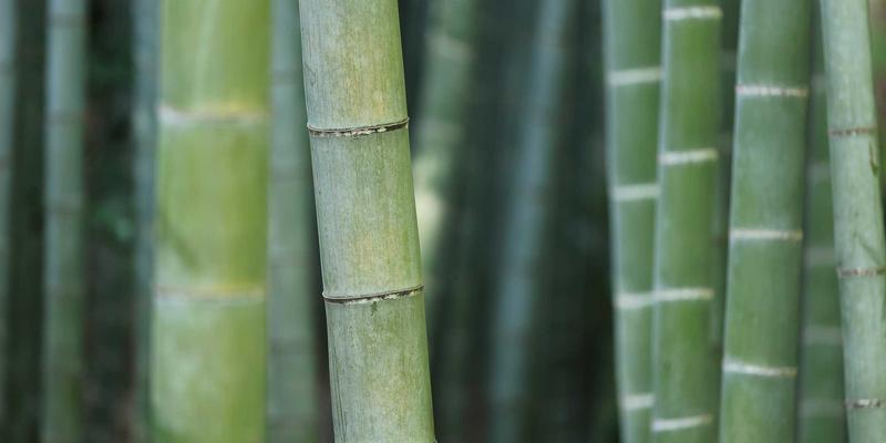 shape-optimization-practice