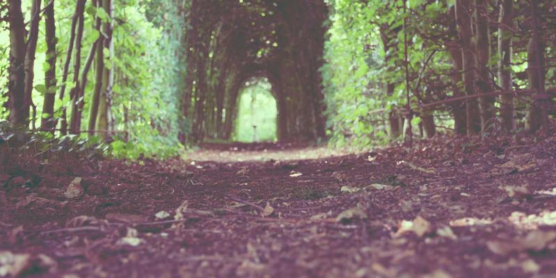 heat-pipe-electronics-theory