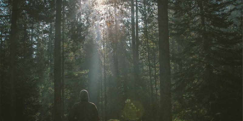 heisler-charts-vendor