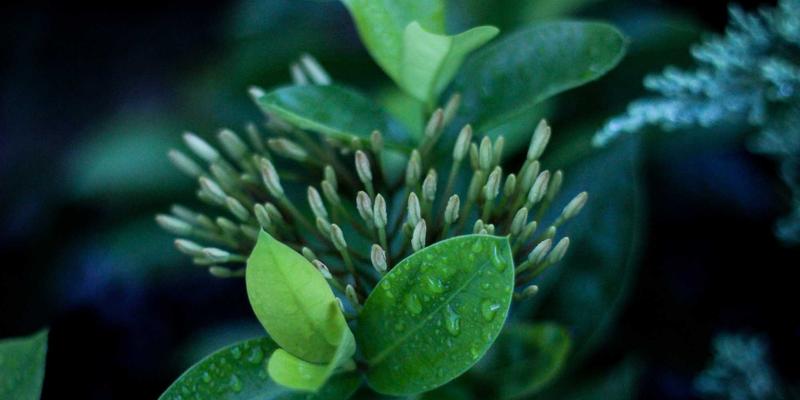 pcm-materials-practice