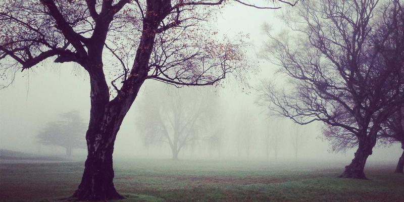 internal-heat-gen-transient-advanced