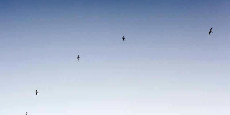 battery-thermal-practice