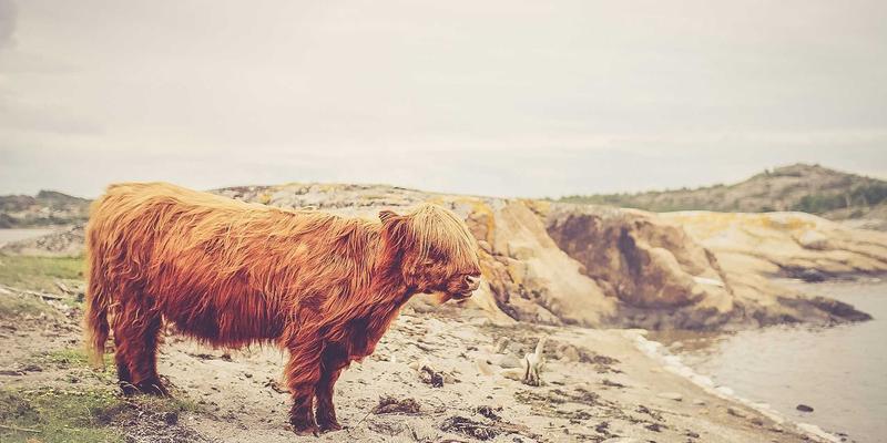 kirchhoff-law-advanced