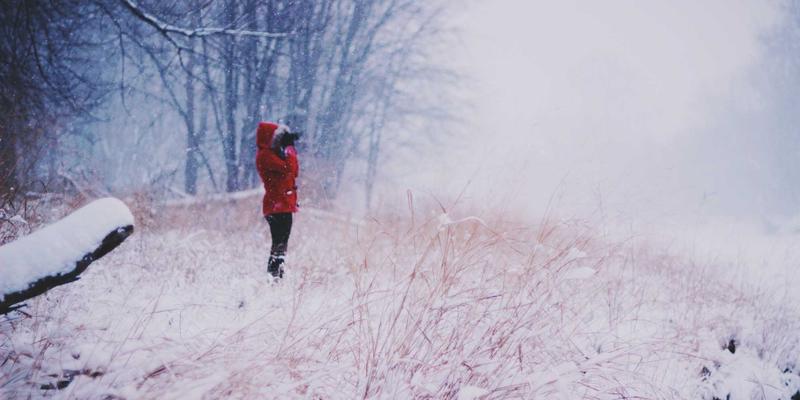 conduction-1d-advanced