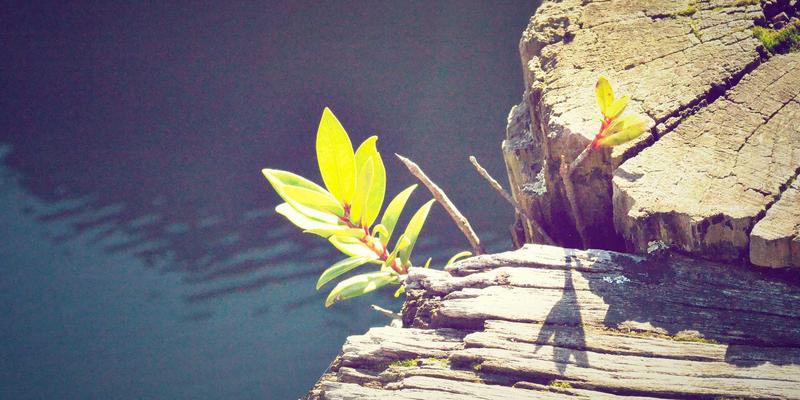 building-energy-method