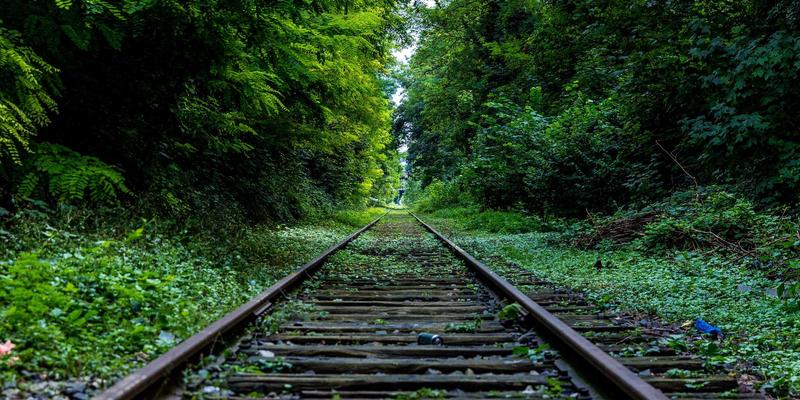 combined-convection-advanced