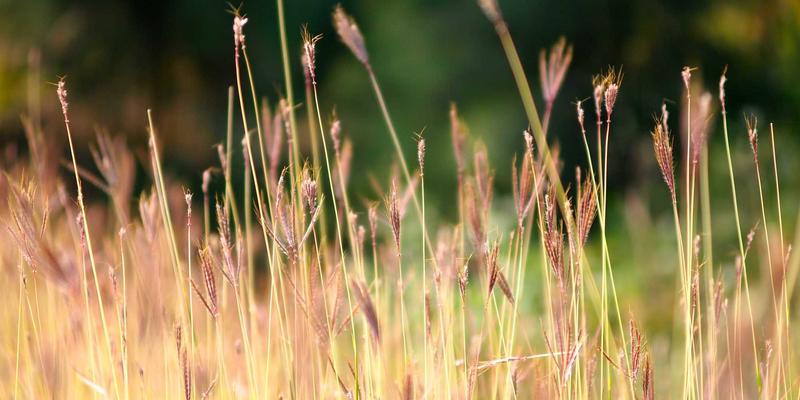 mesh-refinement-ratio-method