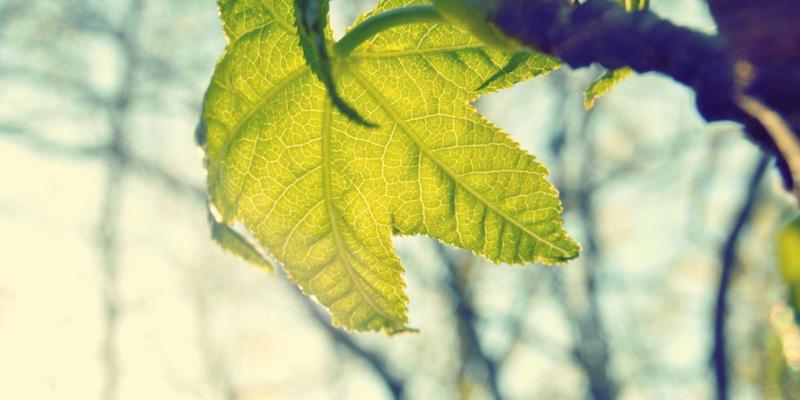 dimensional-analysis-advanced